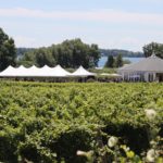 Waupoos Winery