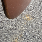 Rust-Spots-on-ground